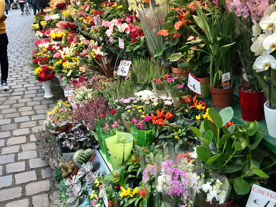 罗莎公寓酒店主图