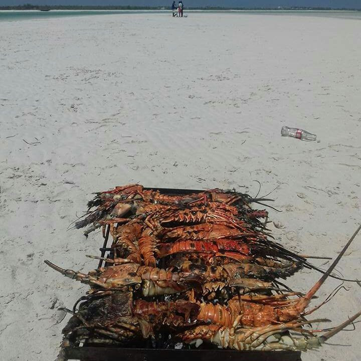 Watamu National Marine Park-瓦塔木必去景点