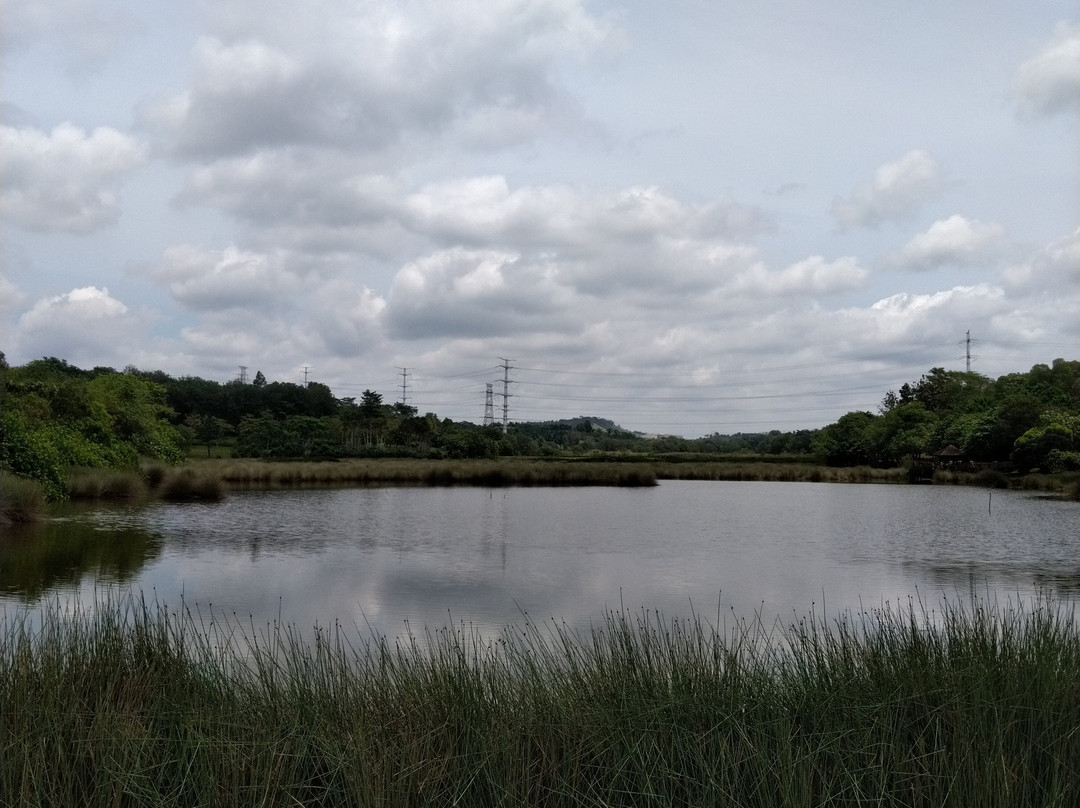 Putrajaya Wetlands Park-太子城必去景点