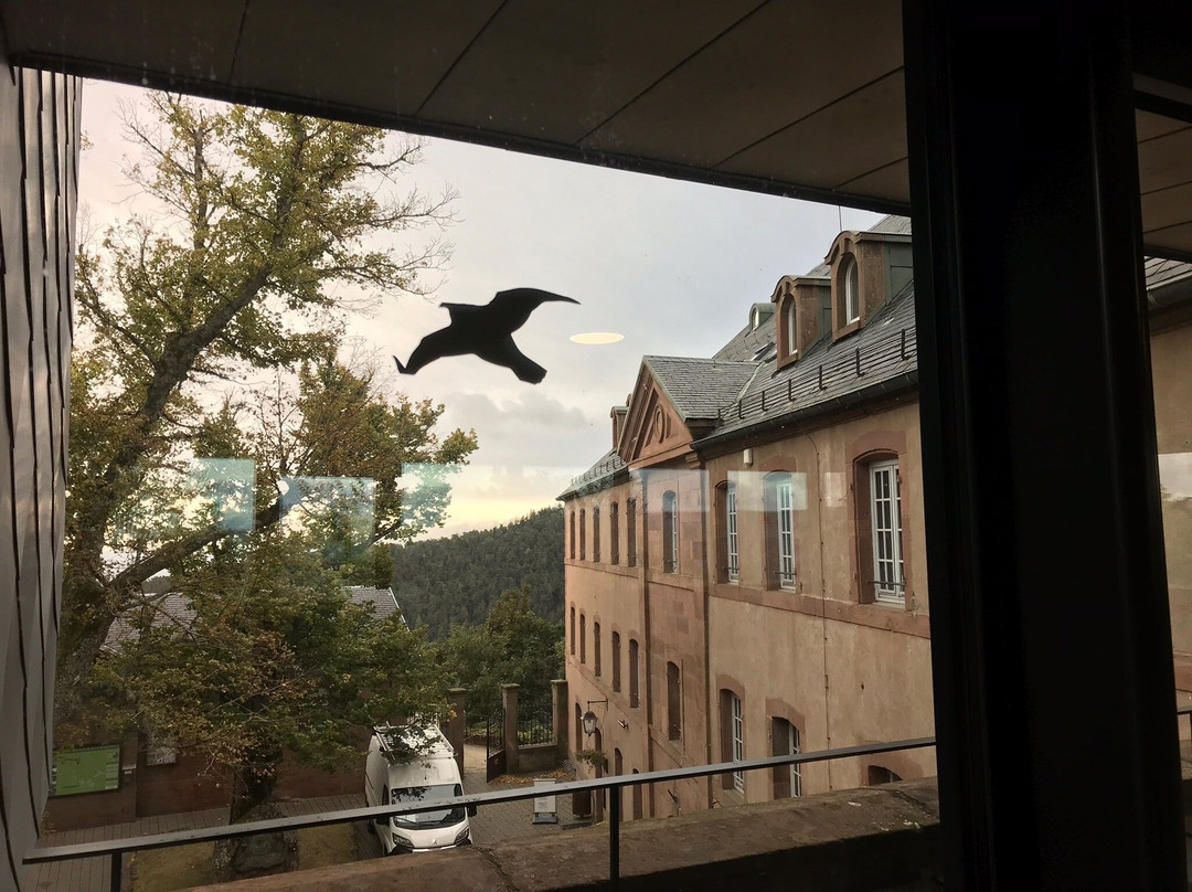 Hostellerie Du Mont Sainte-Odile主图