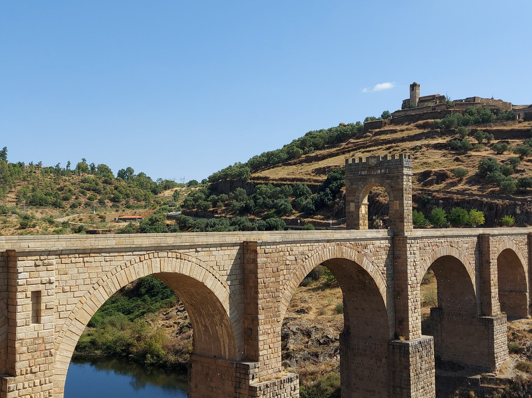 Puente de Alcantara景点图片