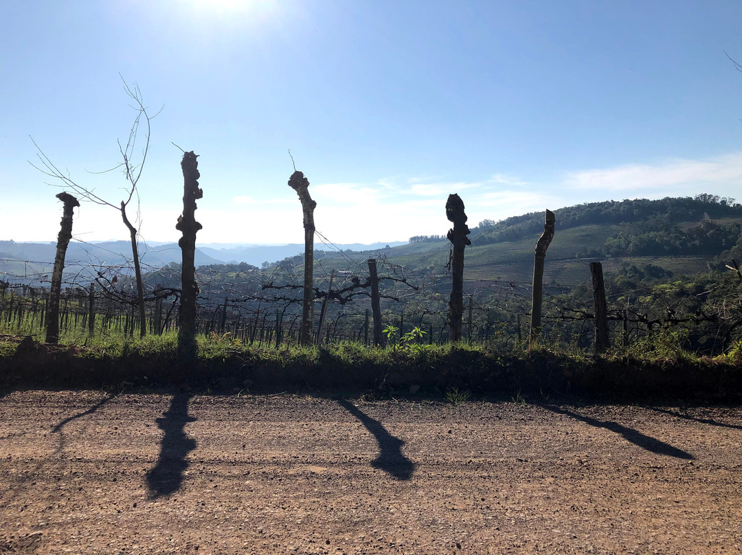 Vinhos Fae-Monte Belo do Sul必去景点