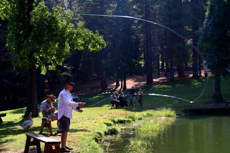 Apple Hill | High Hill Ranch-普莱瑟维尔必去景点