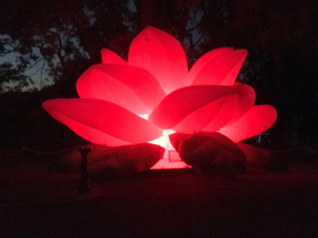 Toowoomba Carnival of Flowers景点图片