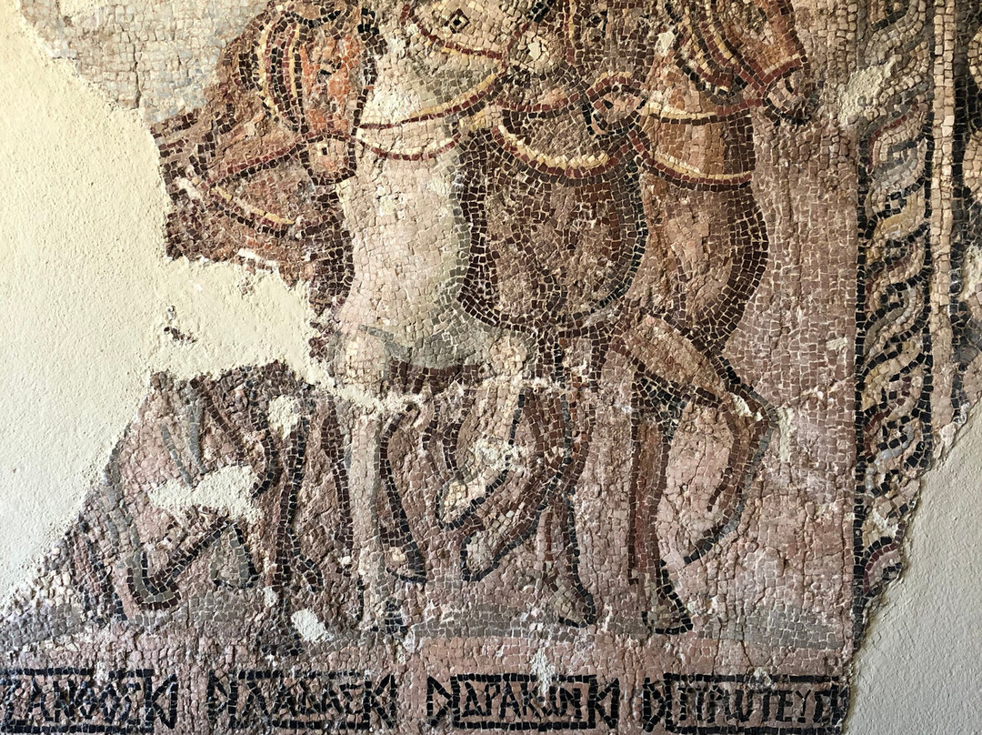 Byzantine Museum of Argos景点图片