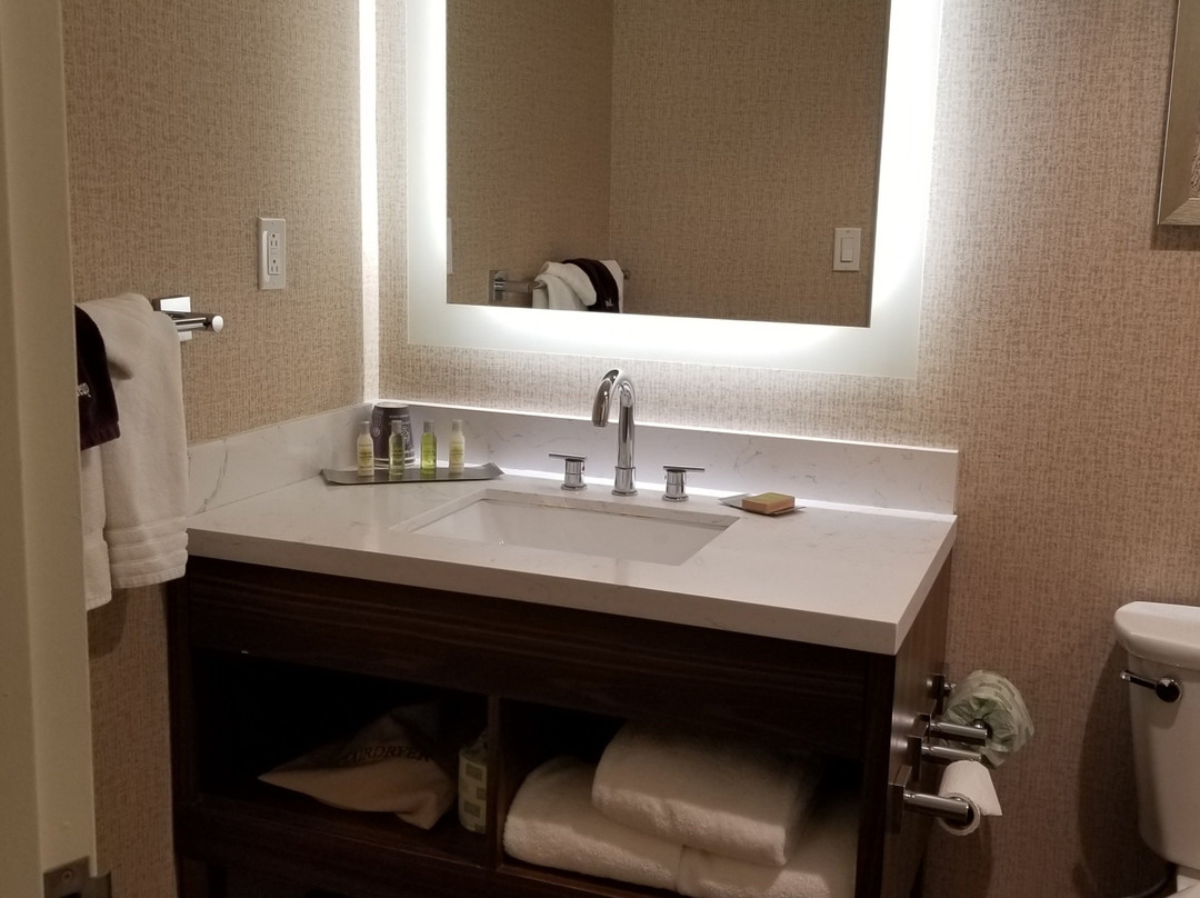 阿普尔顿假日酒店主图