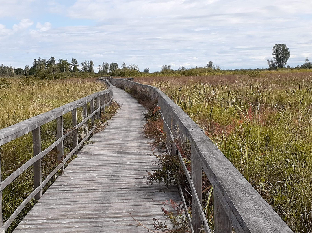 Cooper Marsh Conservation Area-Lancaster必去景点