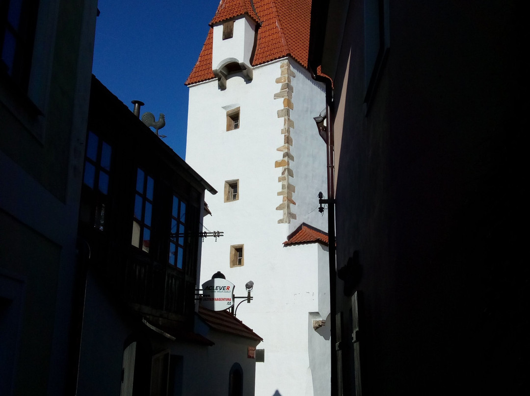 Rabenstejn Tower (Rabnstejnska Vez)景点图片