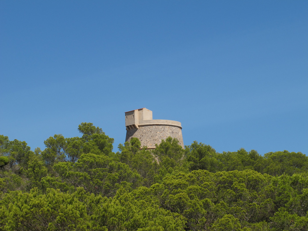Torre de Campanitx / Torre d’en Valls景点图片