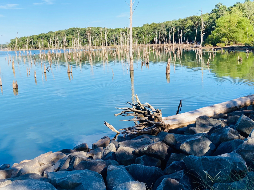 Manasquan Reservoir Visitor Center景点图片