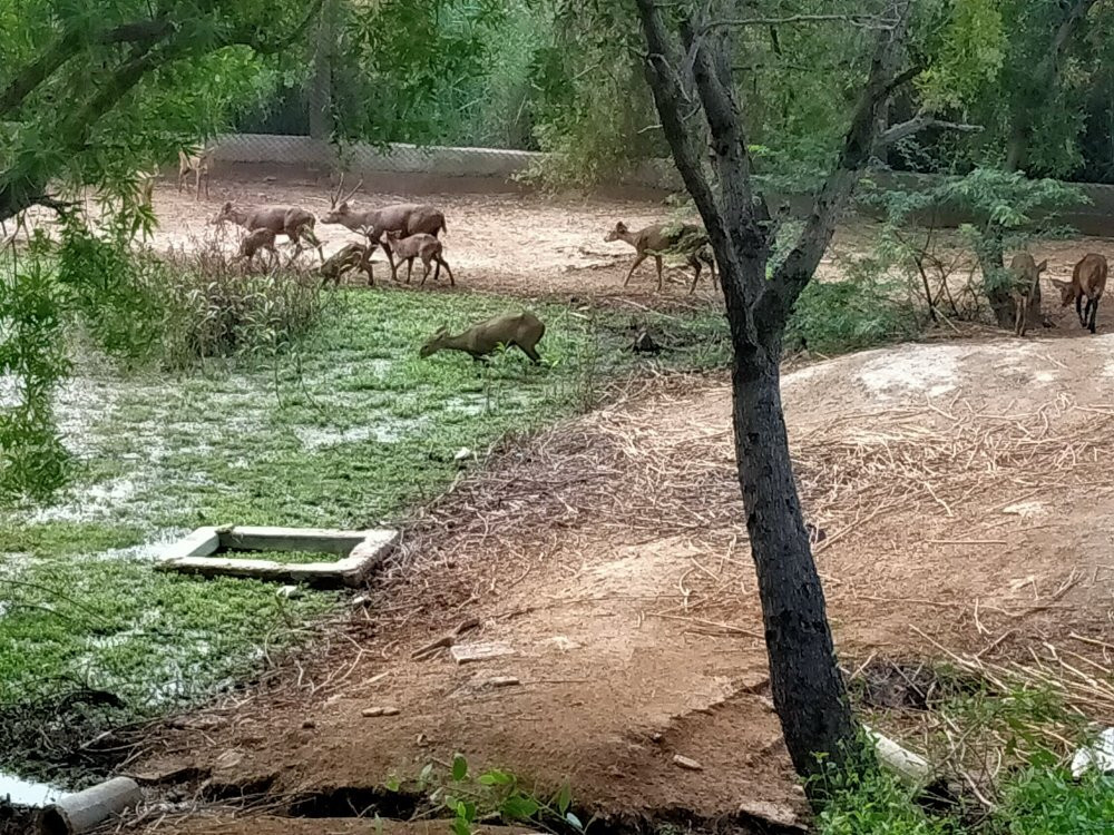 Haleji Lake-Thatta必去景点