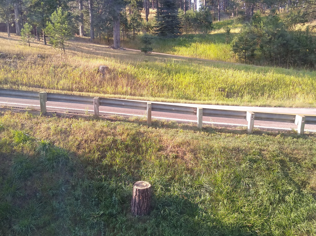 Americinn By Wyndham Hill City Mt Rushmore主图