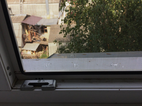 奥林普酒店主图