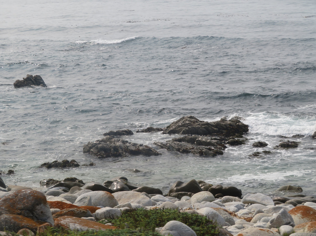 San Carlos Beach-蒙特雷必去景点