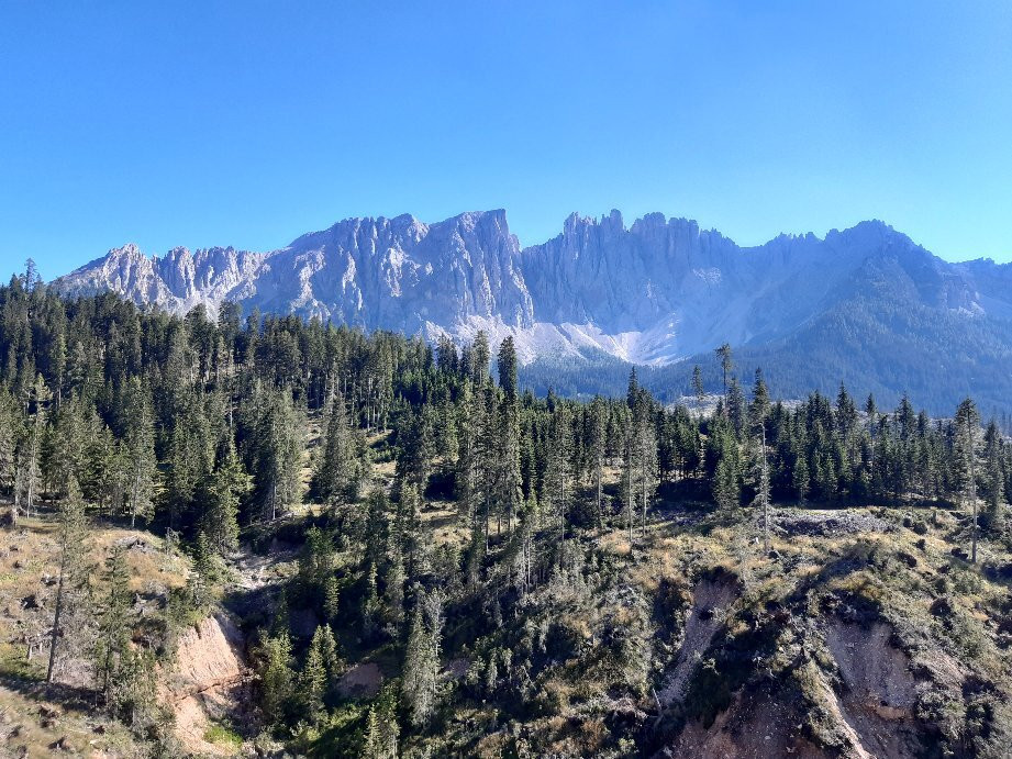 Gasthof Meierei主图