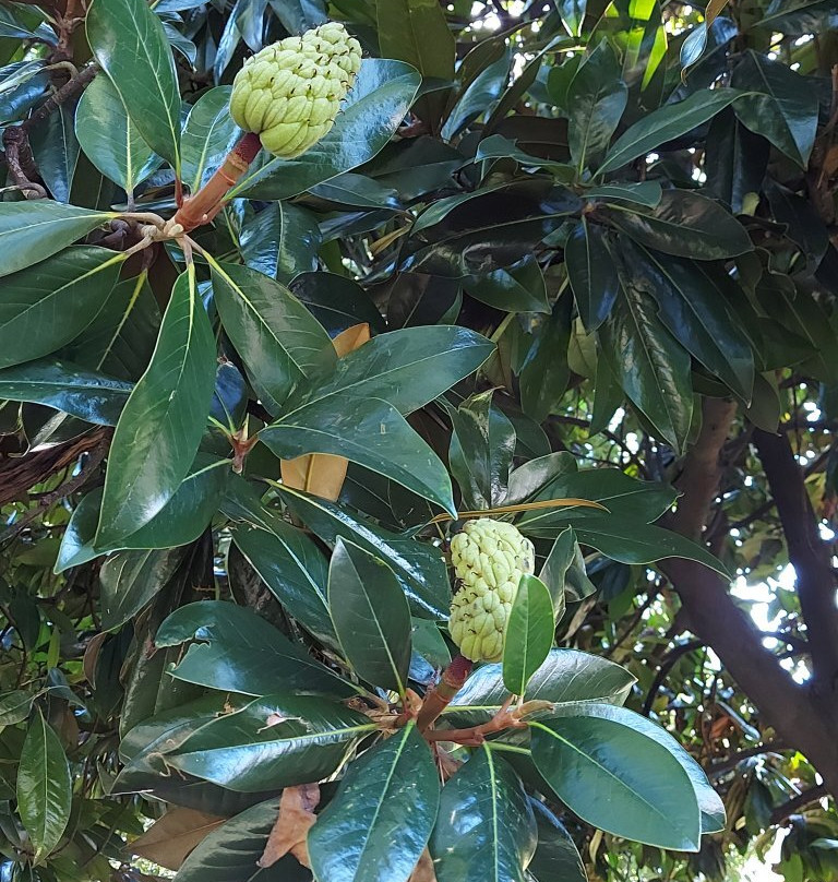 Villa Vertua Masolo-诺瓦米拉内塞必去景点