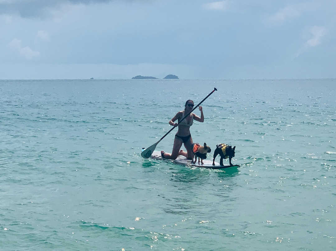 Sea Gypsy Village Resort & Dive Base主图