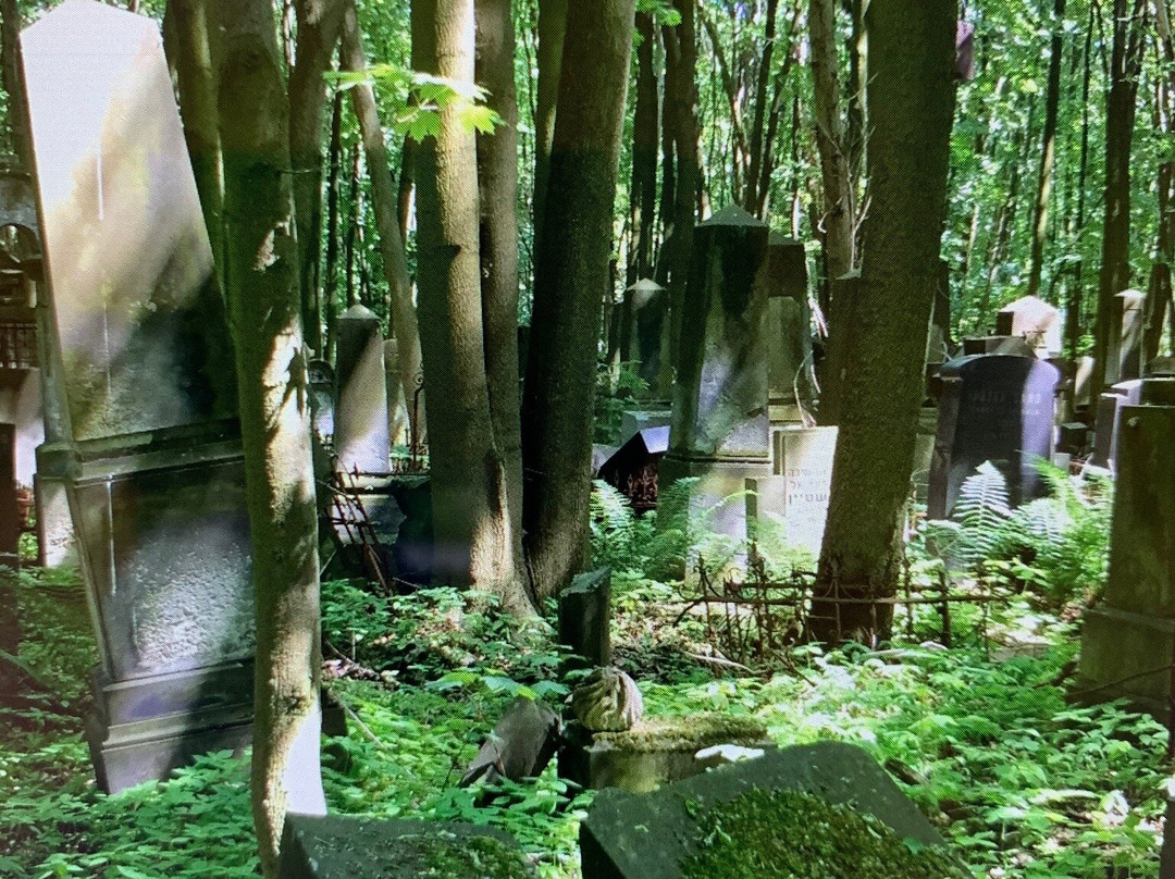 Jewish Cemetery (Cmentarz Zydowski)景点图片