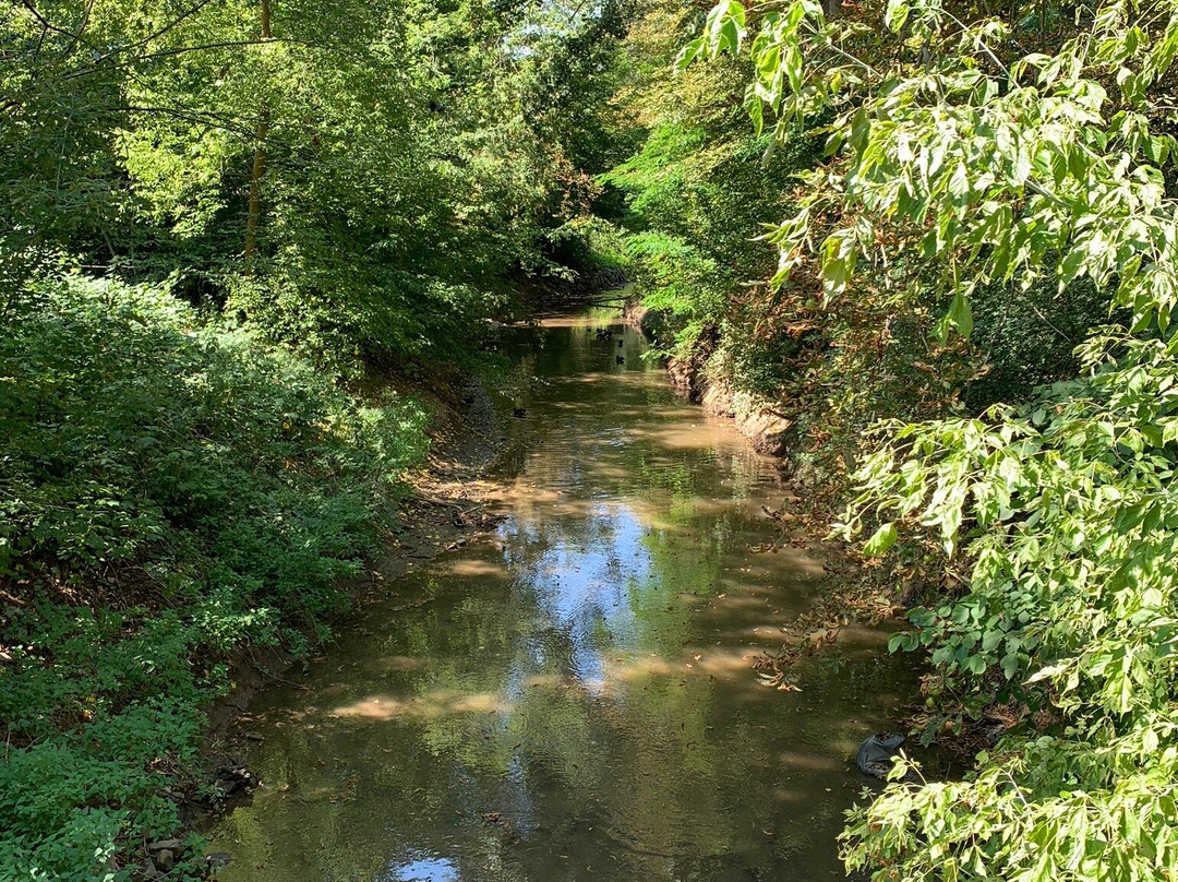 Stadtpark-Riesa必去景点