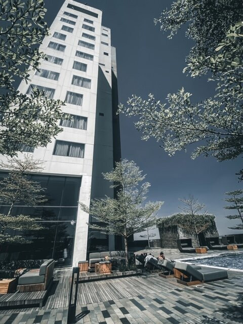 阿丽拉 梭罗主图