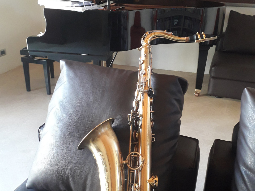 Le Stanze della Musica主图