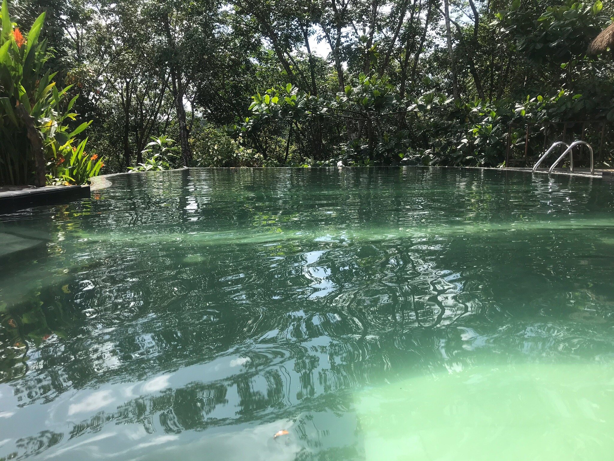 Seethawaka Miracle Nature Resort-官方