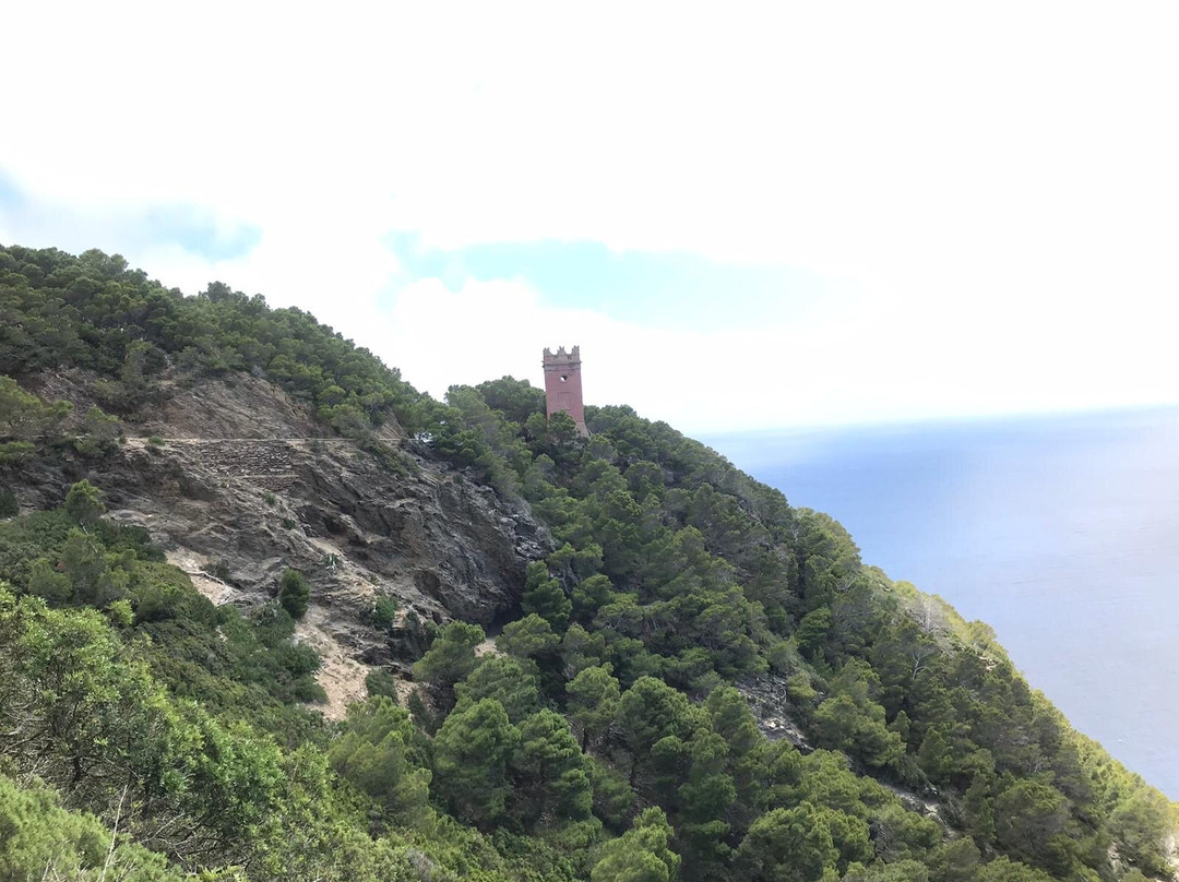 T.H.E. Toscana Hiking Experience-Castelfiorentino必去景点