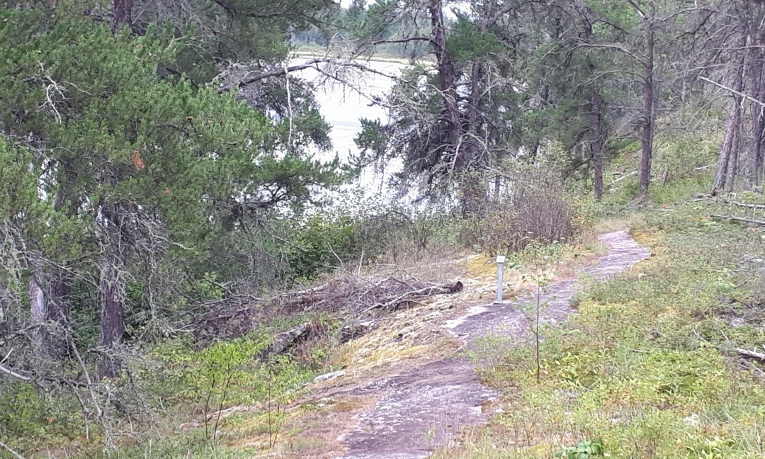 Alfred Hole Goose Sanctuary and Visitor Centre-Rennie必去景点