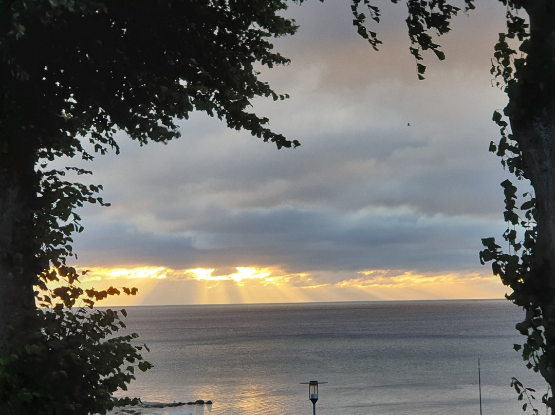 Hof Sierksdorf主图