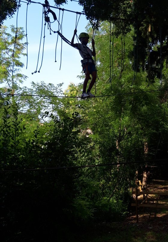 Parco Avventura Rimbalzello Adventure景点图片