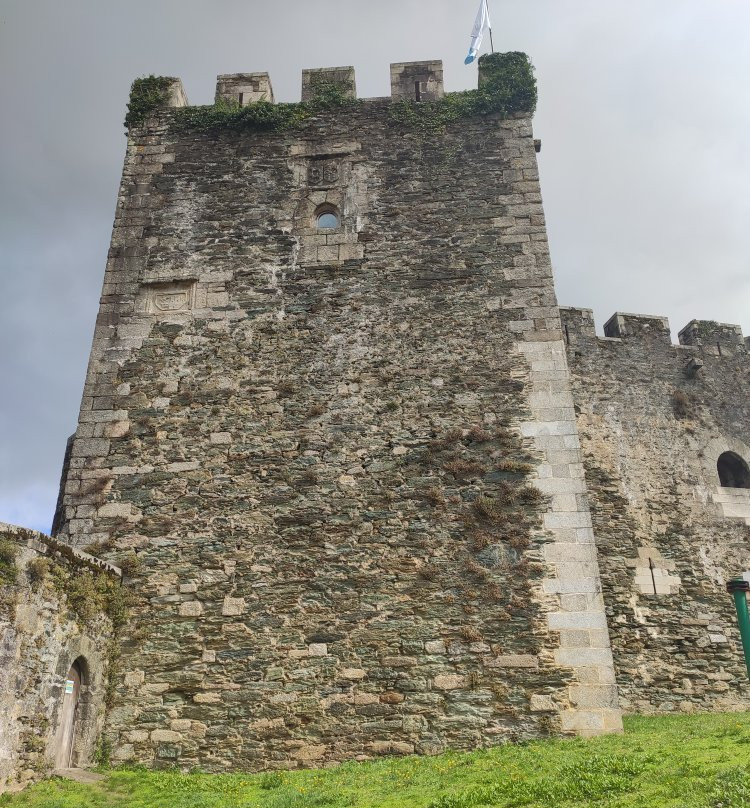 Castillo de Moeche景点图片