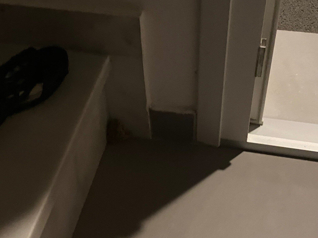 Votsalo Suites主图