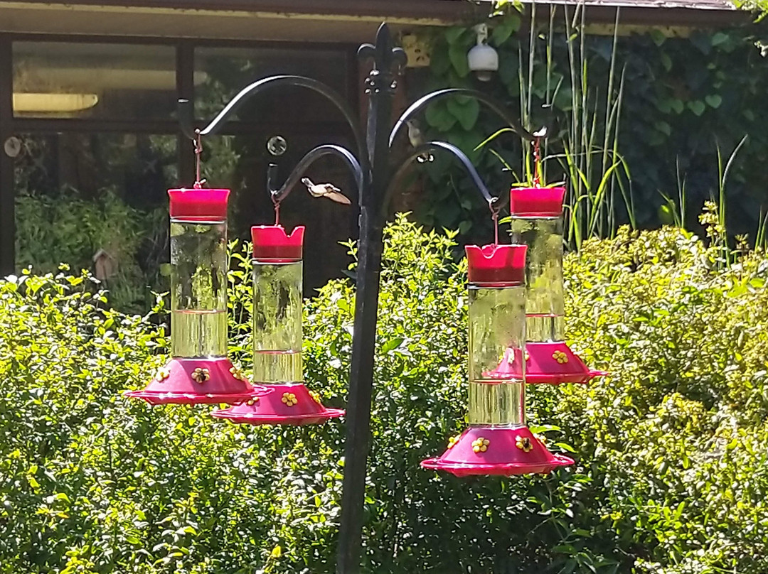 Woodlands Nature Station-Cadiz必去景点