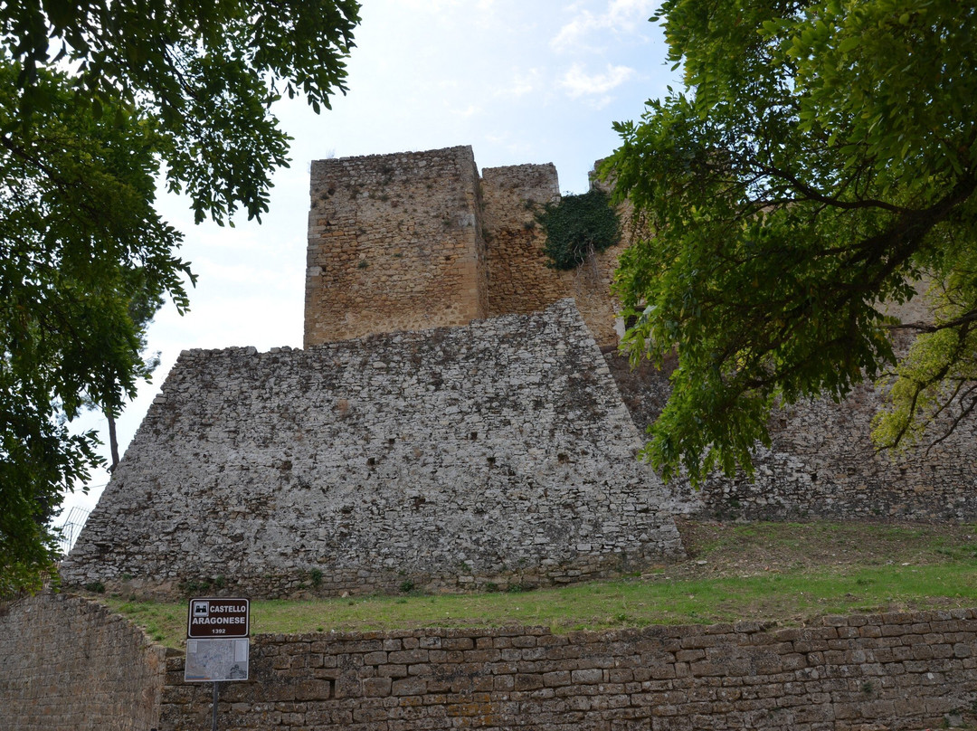 Biblioteca Comunale “Alceste e Remigio Roccella”-皮亚扎－阿尔梅里纳必去景点