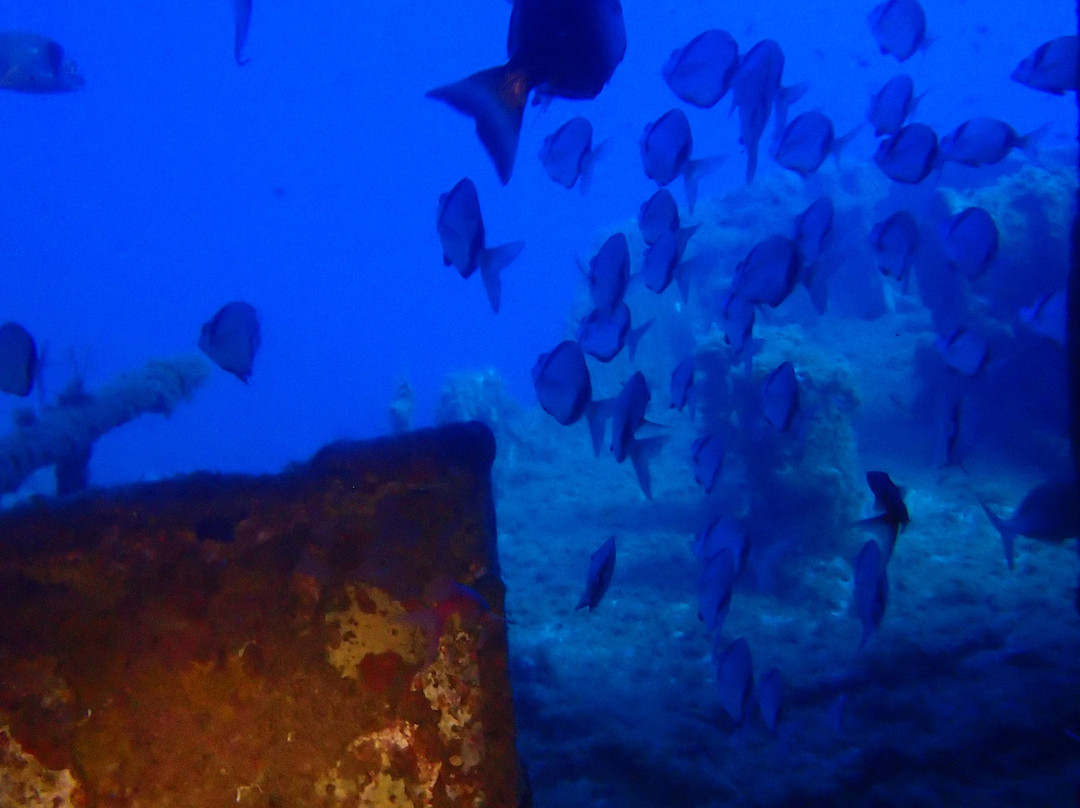 Dossotaigua Dive Center-普拉特哈达罗必去景点