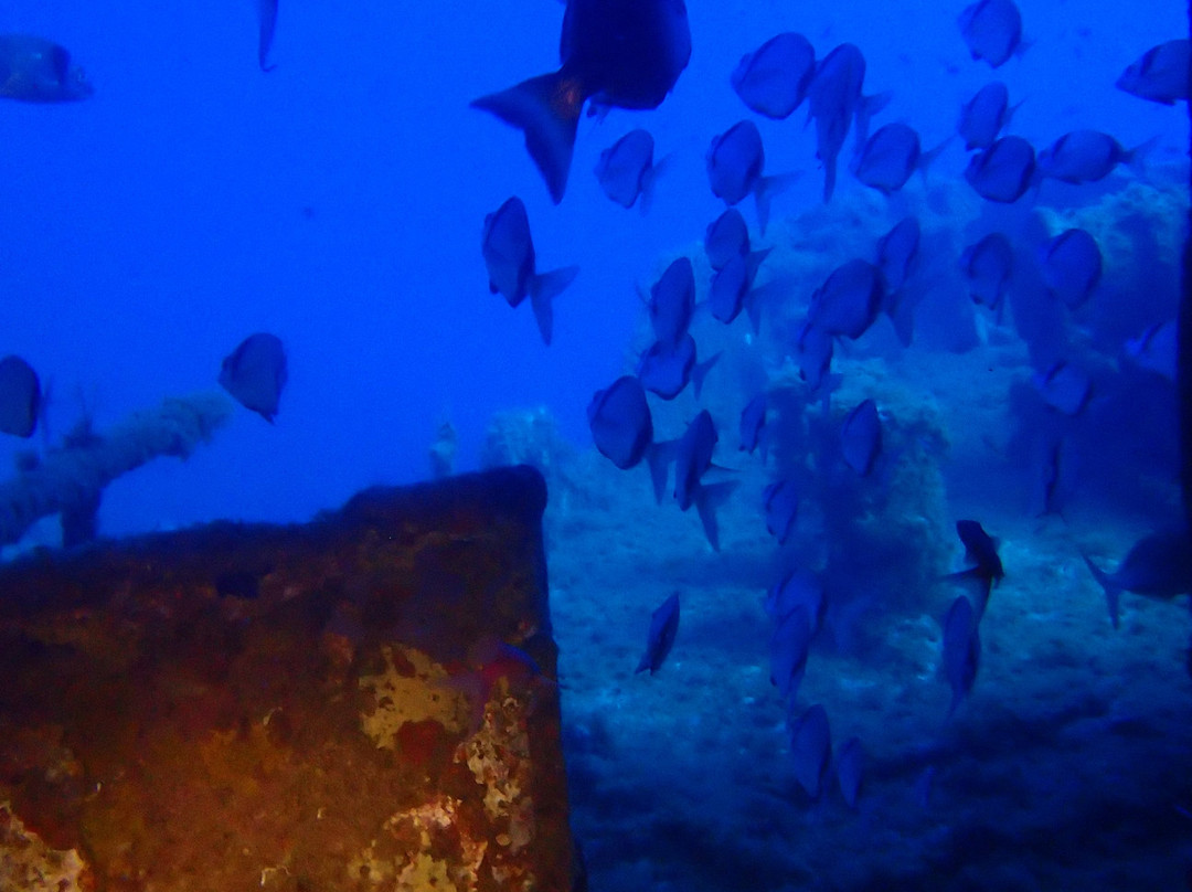 Dossotaigua Dive Center景点图片