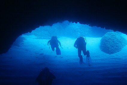 Tropea Diving景点图片