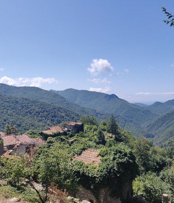Canate di Marsiglia景点图片