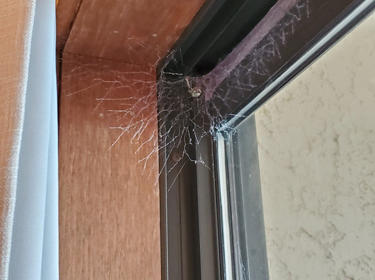 Atlantic Resort Group主图