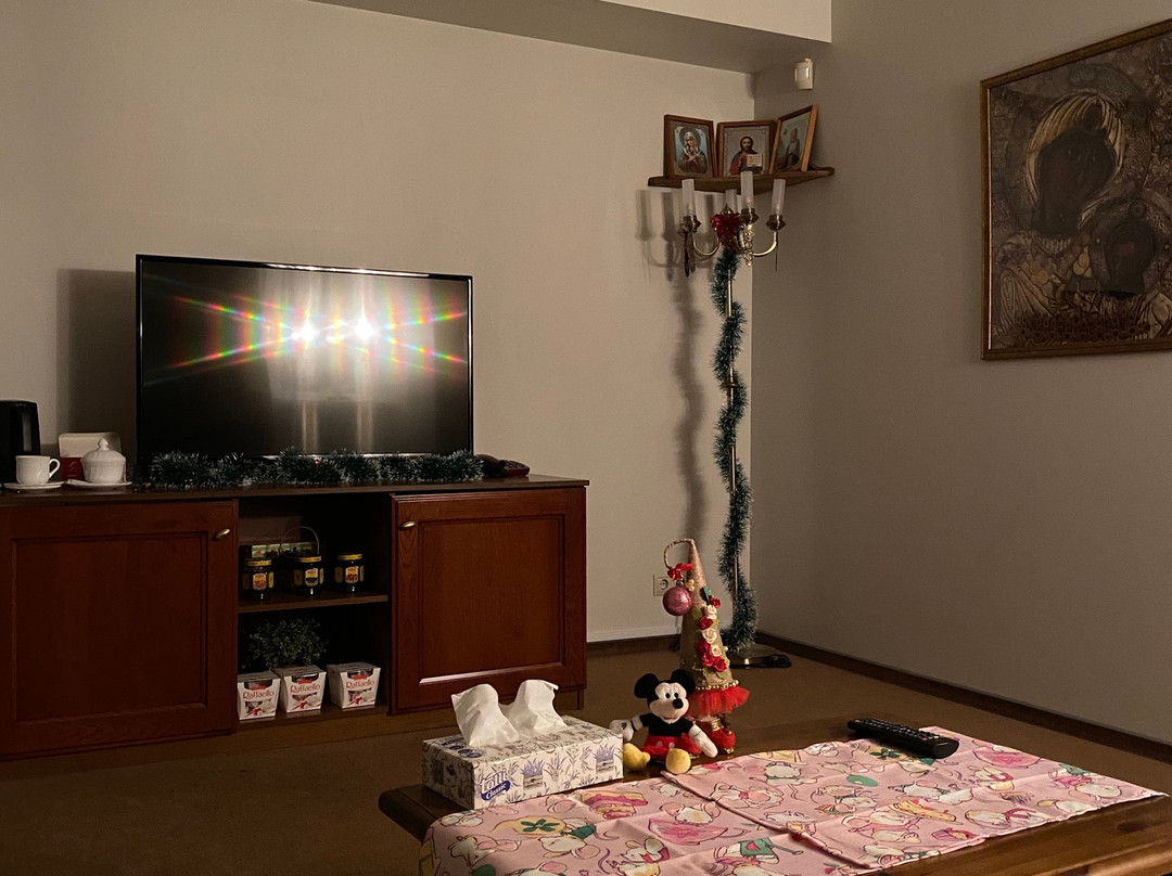 Hotel Diveyevo主图
