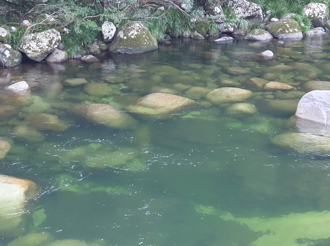 Mossman River Lookout景点图片