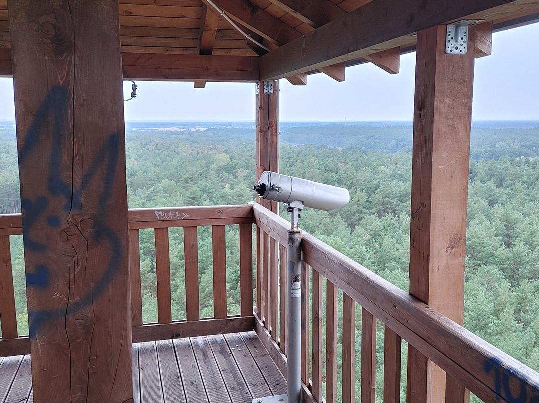 Joanna Observation Tower景点图片