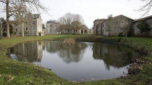 Chateau du Coing景点图片