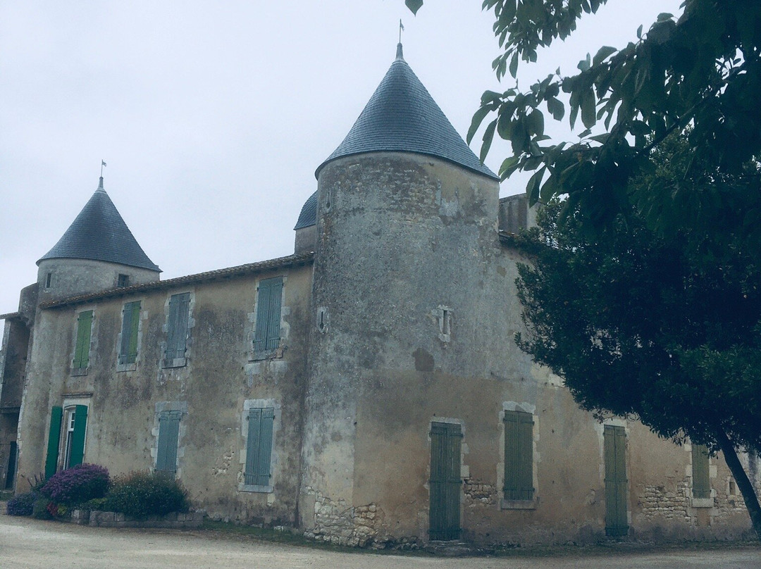 Chateau de Bonnemie景点图片