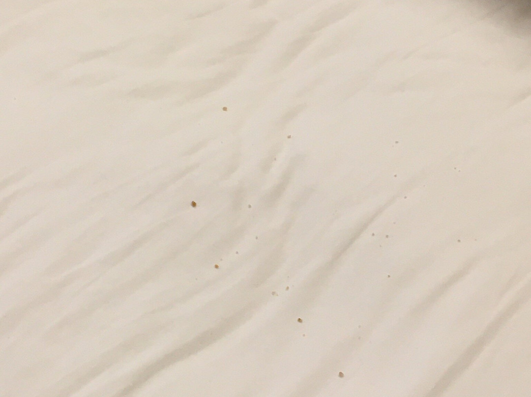 Holiday Inn Express & Suites Grand Island by IHG主图