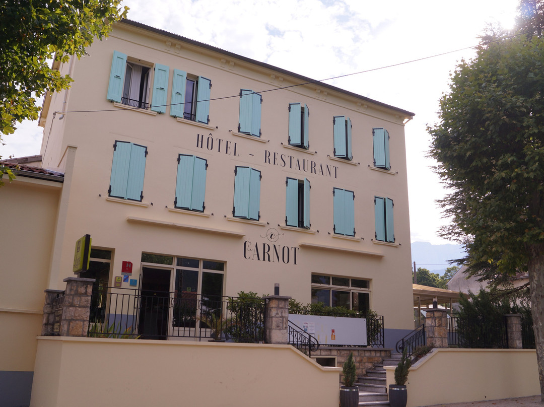 Logis Hôtel le Carnot主图