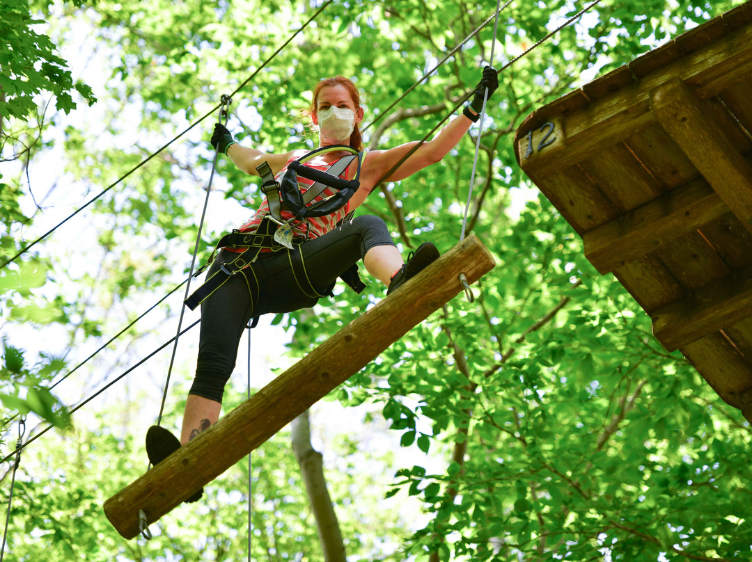 Bristol Mountain Aerial Adventures-卡南代瓜必去景点