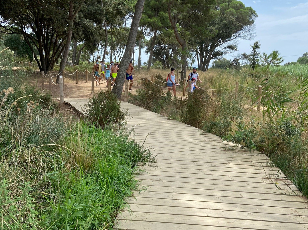 Platja de Castell景点图片