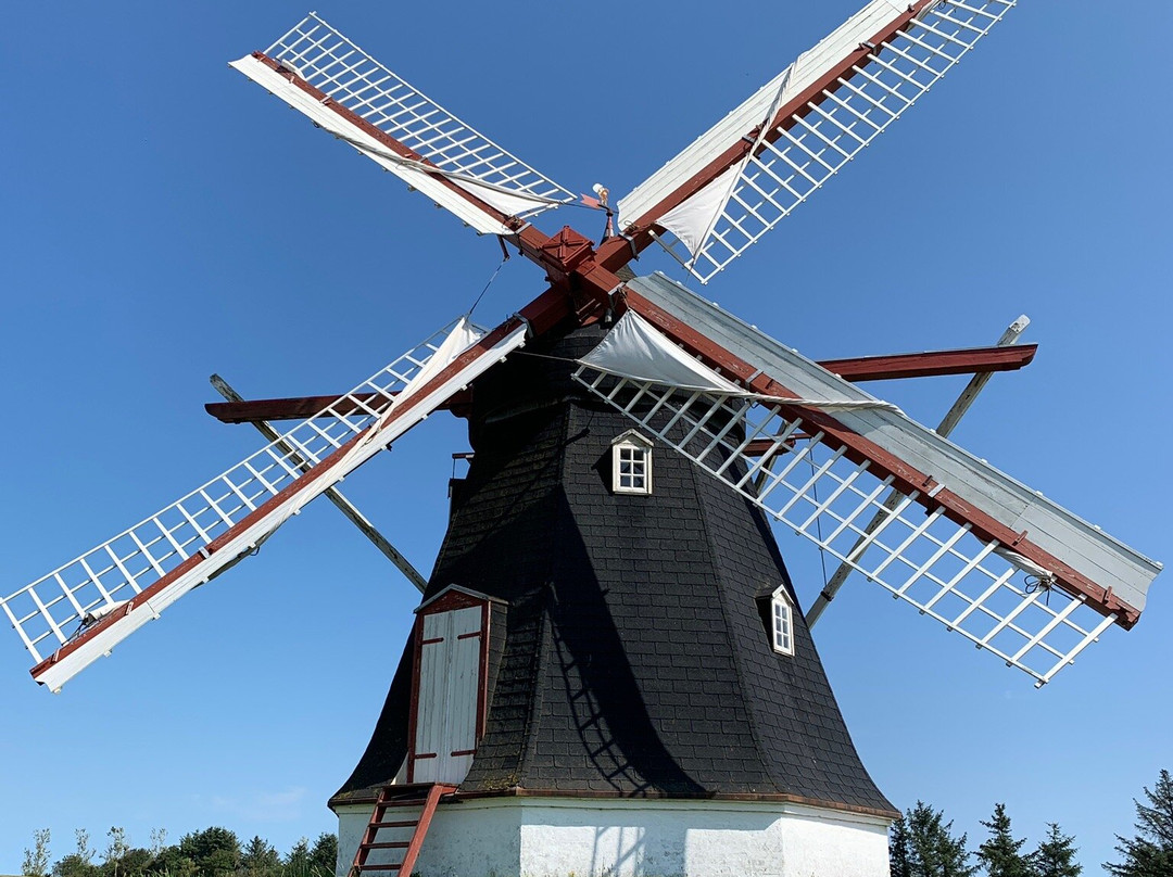 Dorf Mollegard景点图片