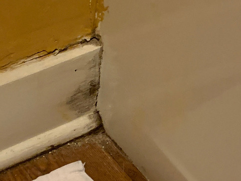 盖恩斯维尔西北TownePlace Suites酒店主图